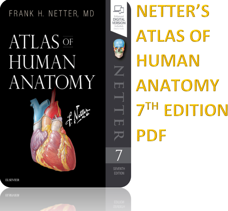 atlas of human anatomy pdf